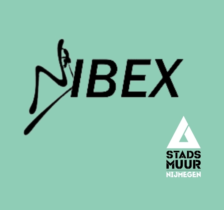 Nibex
