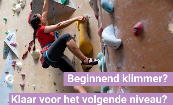 Cursus basistechniek november